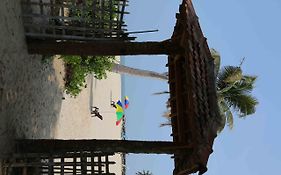 Beach Paradise